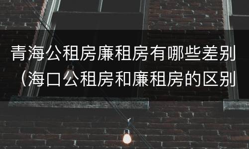 青海公租房廉租房有哪些差别（海口公租房和廉租房的区别）