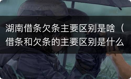 湖南借条欠条主要区别是啥（借条和欠条的主要区别是什么?）
