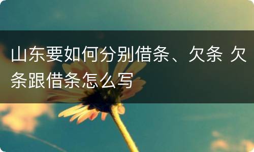 山东要如何分别借条、欠条 欠条跟借条怎么写