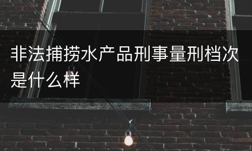 非法捕捞水产品刑事量刑档次是什么样