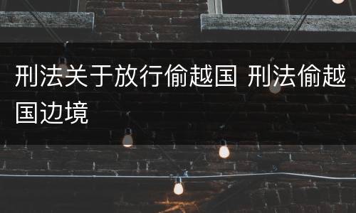 刑法关于放行偷越国 刑法偷越国边境