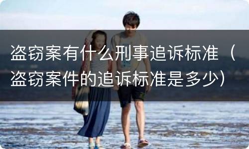 盗窃案有什么刑事追诉标准（盗窃案件的追诉标准是多少）