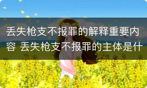 丢失枪支不报罪的解释重要内容 丢失枪支不报罪的主体是什么
