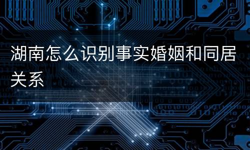 湖南怎么识别事实婚姻和同居关系