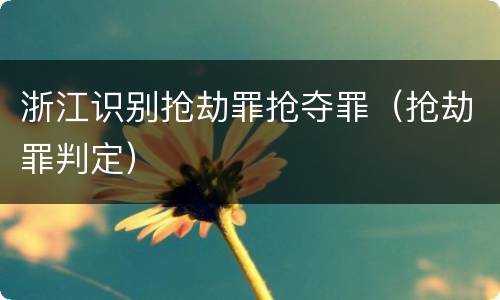 浙江识别抢劫罪抢夺罪（抢劫罪判定）