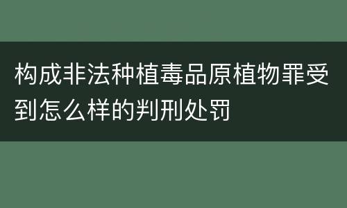 构成非法种植毒品原植物罪受到怎么样的判刑处罚