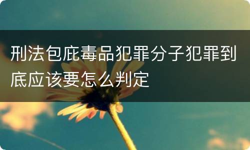 刑法包庇毒品犯罪分子犯罪到底应该要怎么判定