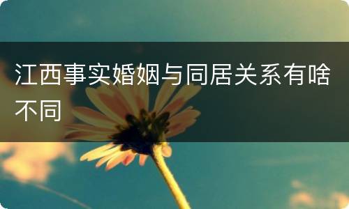 江西事实婚姻与同居关系有啥不同