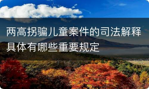 两高拐骗儿童案件的司法解释具体有哪些重要规定