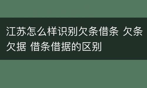 江苏怎么样识别欠条借条 欠条欠据 借条借据的区别