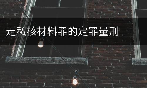 走私核材料罪的定罪量刑