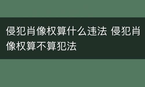 侵犯肖像权算什么违法 侵犯肖像权算不算犯法