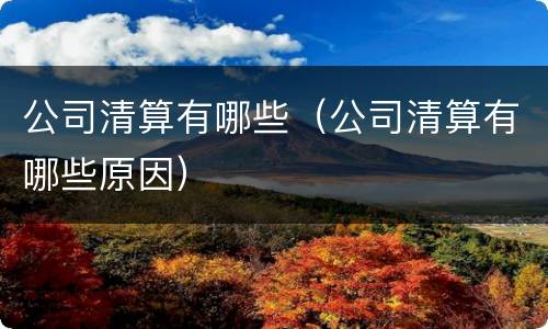 公司清算有哪些（公司清算有哪些原因）