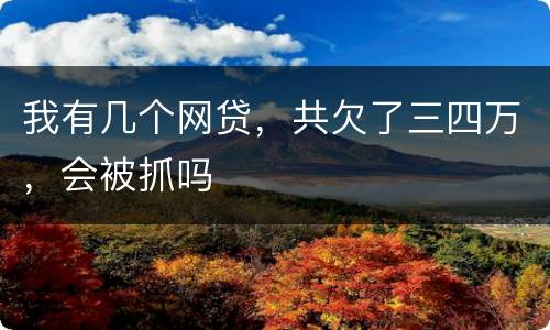我有几个网贷，共欠了三四万，会被抓吗