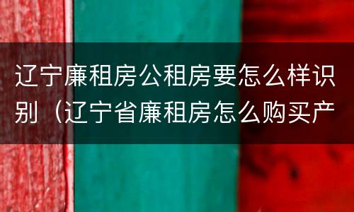 辽宁廉租房公租房要怎么样识别（辽宁省廉租房怎么购买产权）