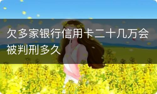 欠多家银行信用卡二十几万会被判刑多久