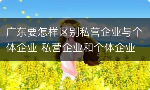 广东要怎样区别私营企业与个体企业 私营企业和个体企业