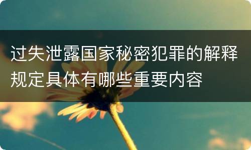 过失泄露国家秘密犯罪的解释规定具体有哪些重要内容