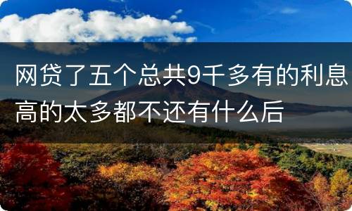 网贷了五个总共9千多有的利息高的太多都不还有什么后