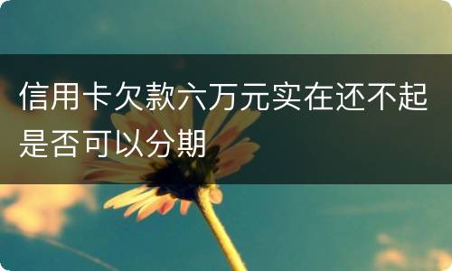 信用卡欠款六万元实在还不起是否可以分期