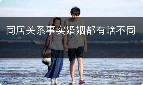 同居关系事实婚姻都有啥不同