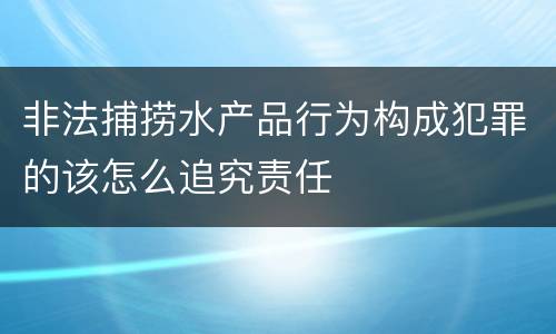 非法捕捞水产品行为构成犯罪的该怎么追究责任