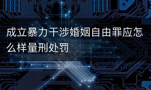成立暴力干涉婚姻自由罪应怎么样量刑处罚