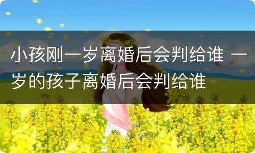 小孩刚一岁离婚后会判给谁 一岁的孩子离婚后会判给谁