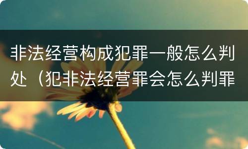 非法经营构成犯罪一般怎么判处（犯非法经营罪会怎么判罪）