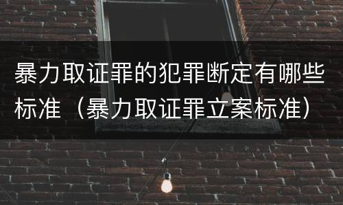 暴力取证罪的犯罪断定有哪些标准（暴力取证罪立案标准）