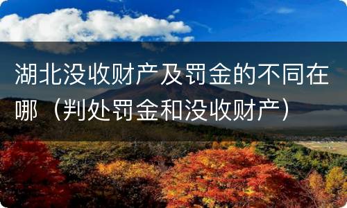湖北没收财产及罚金的不同在哪（判处罚金和没收财产）