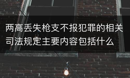 两高丢失枪支不报犯罪的相关司法规定主要内容包括什么