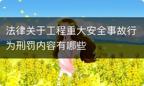 法律关于工程重大安全事故行为刑罚内容有哪些