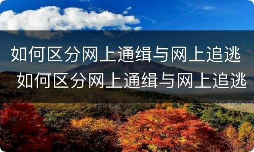 如何区分网上通缉与网上追逃 如何区分网上通缉与网上追逃的区别