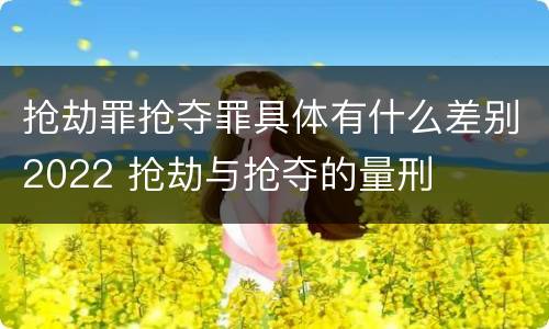 抢劫罪抢夺罪具体有什么差别2022 抢劫与抢夺的量刑