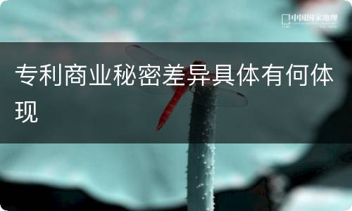 专利商业秘密差异具体有何体现
