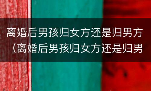 离婚后男孩归女方还是归男方（离婚后男孩归女方还是归男方所有）