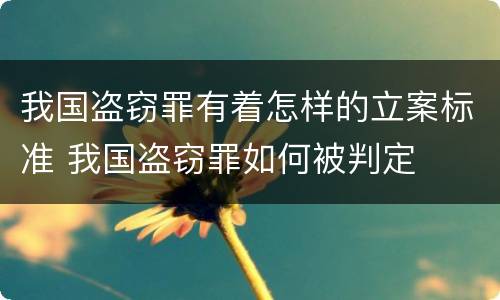 我国盗窃罪有着怎样的立案标准 我国盗窃罪如何被判定