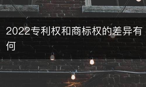 2022专利权和商标权的差异有何