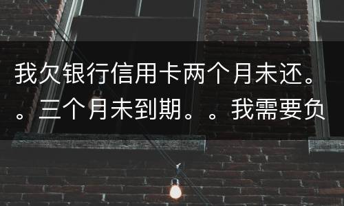 我欠银行信用卡两个月未还。。三个月未到期。。我需要负法律责任吗
