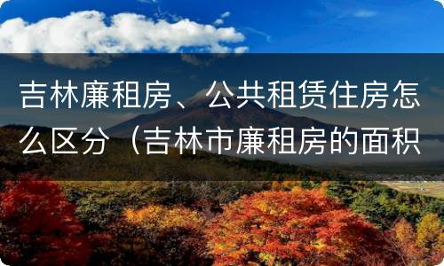吉林廉租房、公共租赁住房怎么区分（吉林市廉租房的面积一般多大）