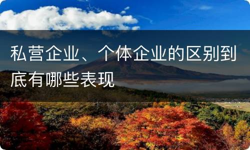 私营企业、个体企业的区别到底有哪些表现