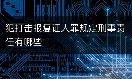 犯打击报复证人罪规定刑事责任有哪些