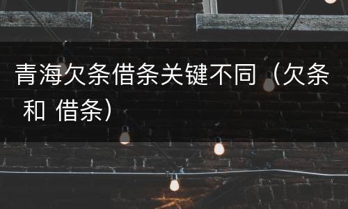 青海欠条借条关键不同（欠条 和 借条）
