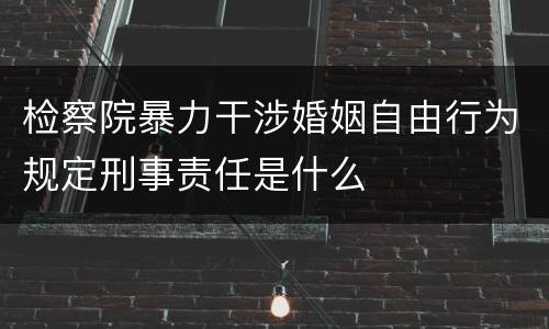 检察院暴力干涉婚姻自由行为规定刑事责任是什么