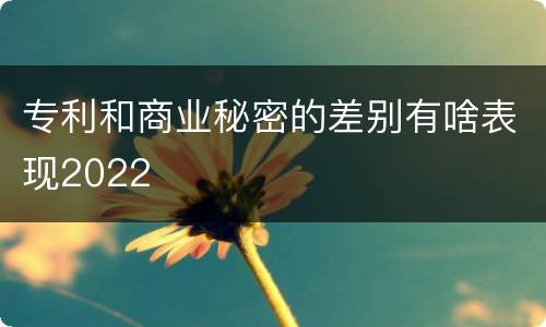 专利和商业秘密的差别有啥表现2022