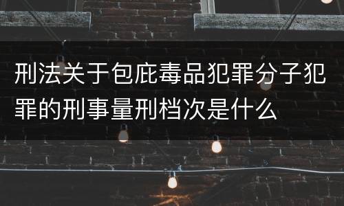 刑法关于包庇毒品犯罪分子犯罪的刑事量刑档次是什么