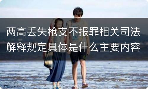 两高丢失枪支不报罪相关司法解释规定具体是什么主要内容