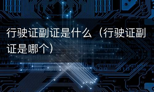 行驶证副证是什么（行驶证副证是哪个）