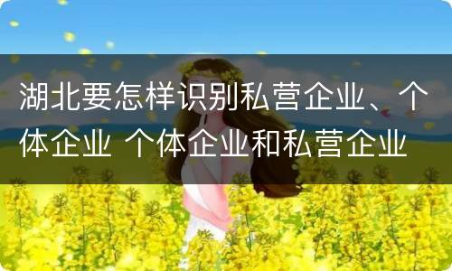 湖北要怎样识别私营企业、个体企业 个体企业和私营企业